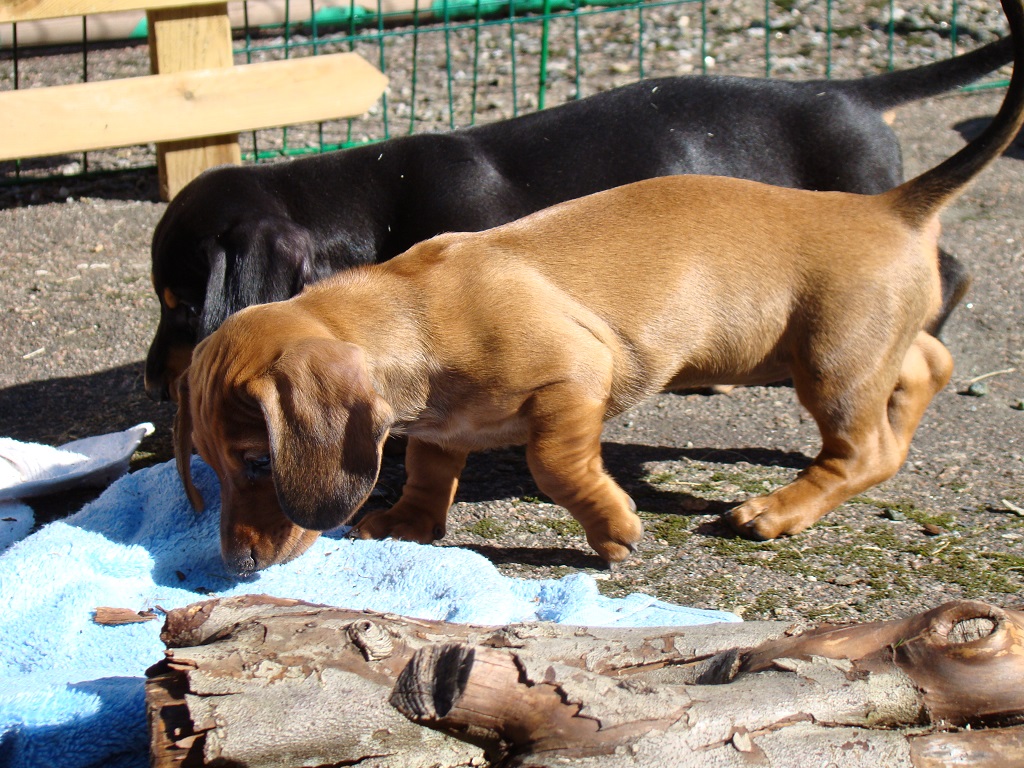 image05
