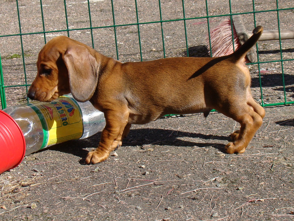 image07