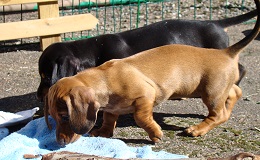 image05