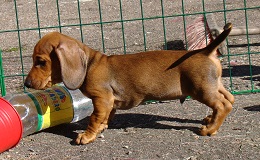 image07